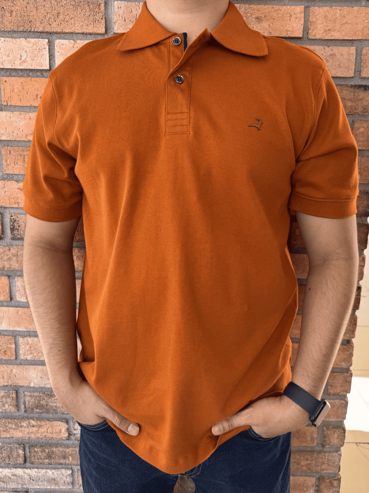 PLAYERA POLO ZIKNO